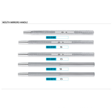 Flourish Dental Burnisher Dental Suministros (XT-FL022)